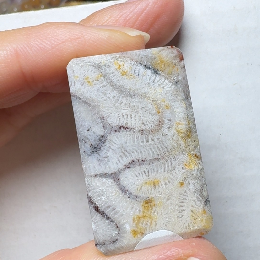 硅化玉蛇来运转未镶嵌