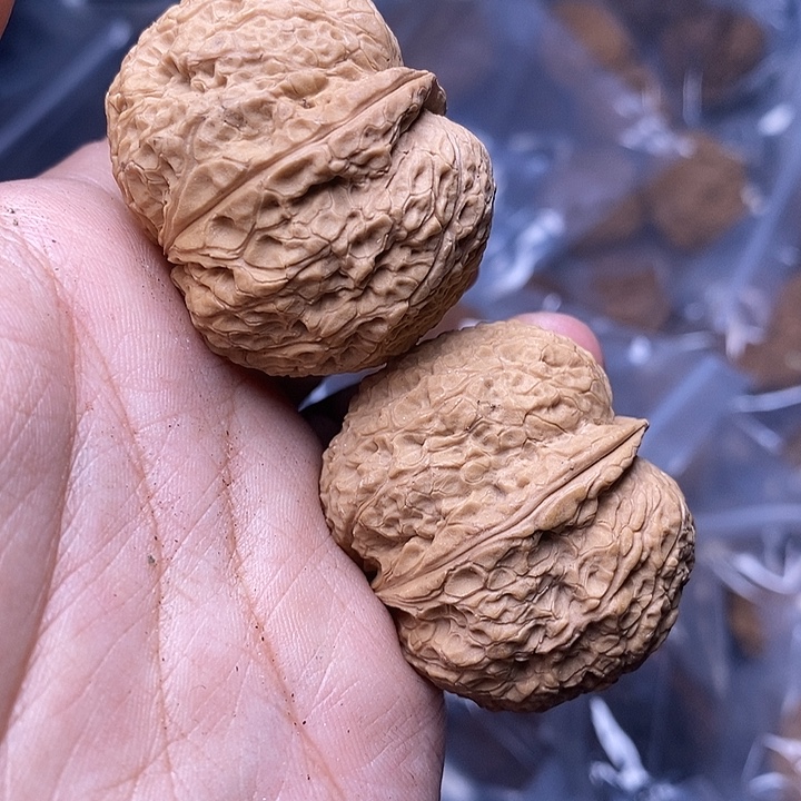 文玩核桃吊坠    267