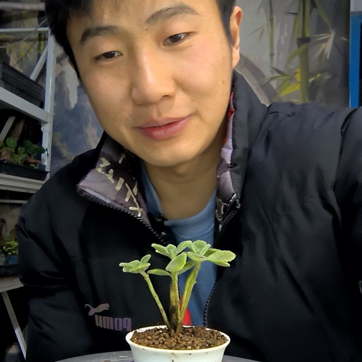 椛中青园艺一物一拍花259