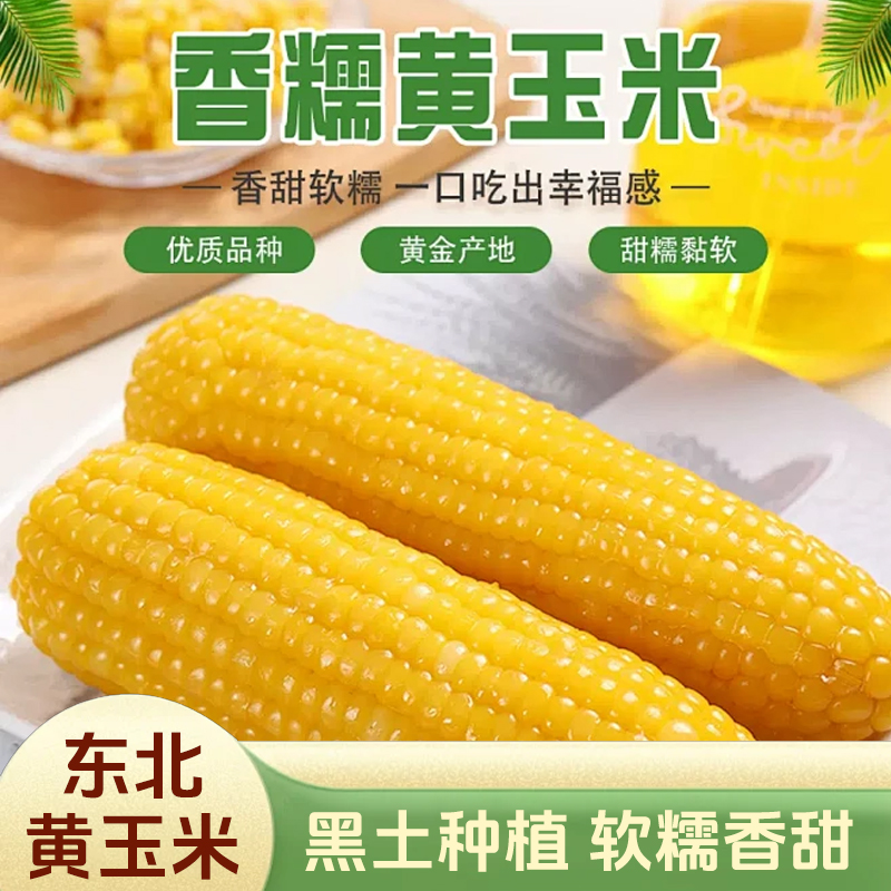 东北黄玉米饱满软糯香甜新鲜真空透明装新黄糯大棒14-16公分