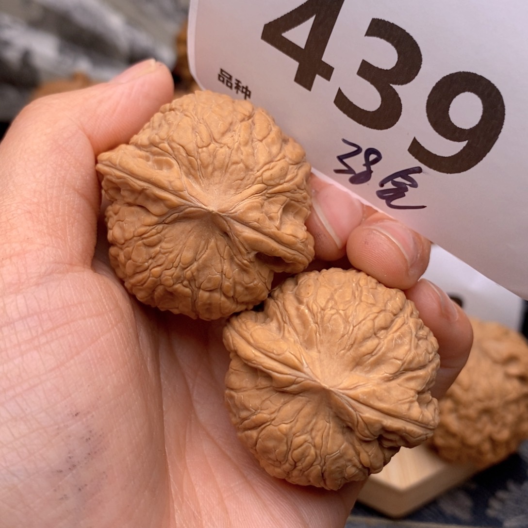 文玩核桃把件439号38全乾隆