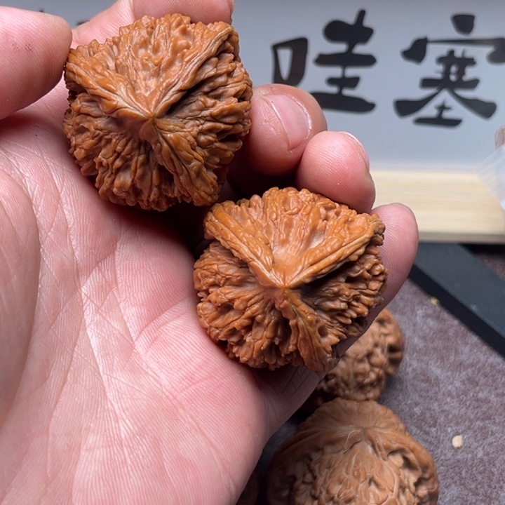 文玩核桃把件龙尊