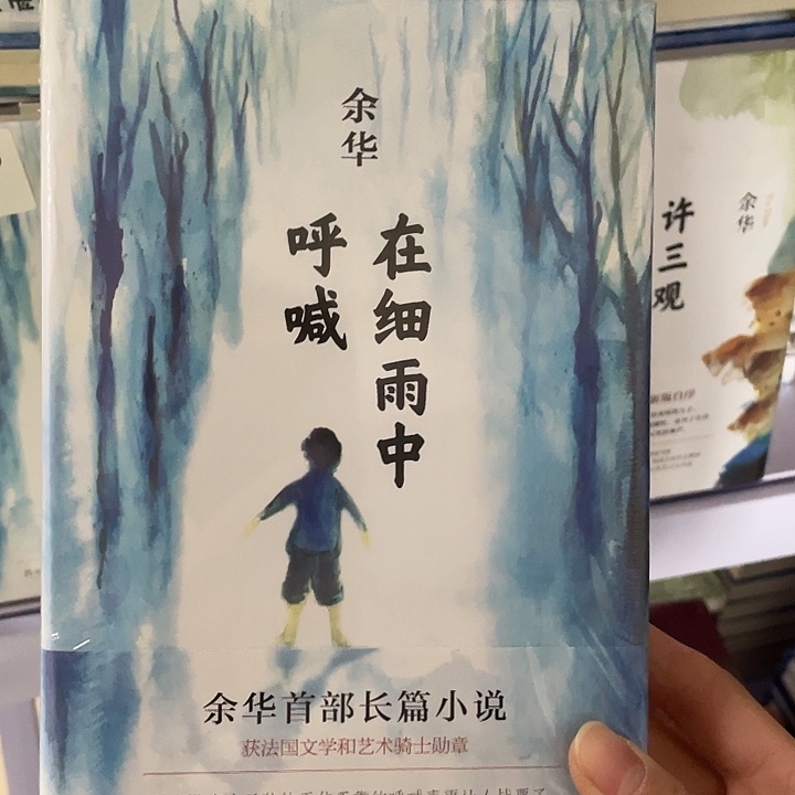 在细雨中呼喊   精装带塑封