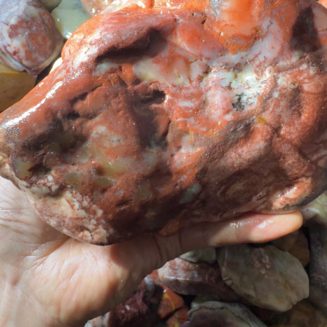 壶***秋寿山石899889989988