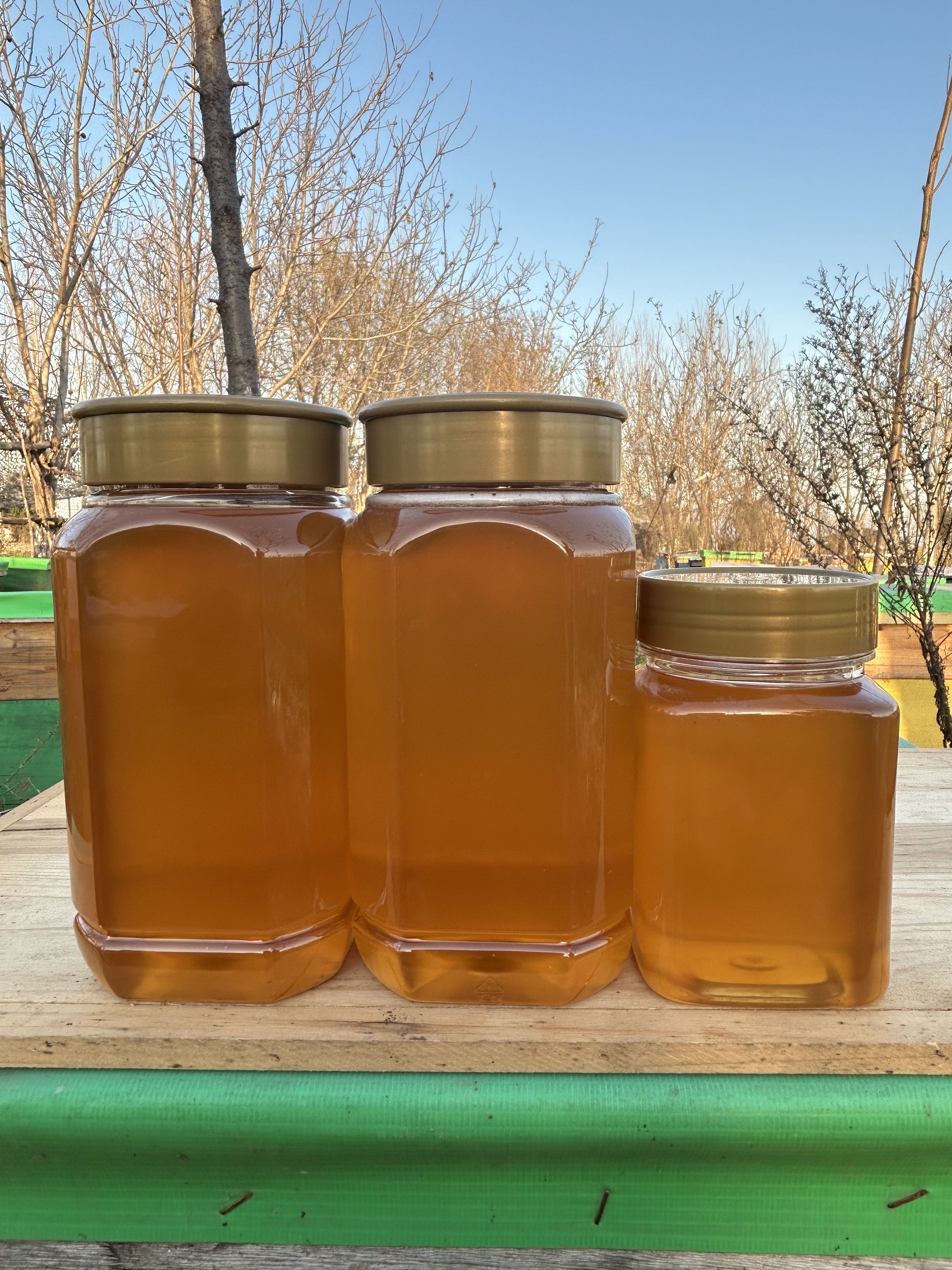 【邢酸枣蜜五斤】太行山野生蜜源口感醇甜温和蜂农直发25年头茬蜂蜜