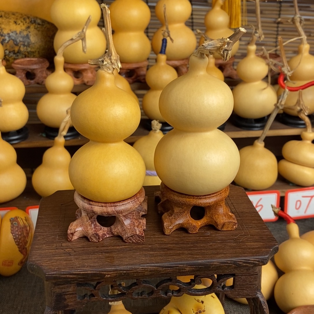 鲨***ㅤtounuolegetounuotese
