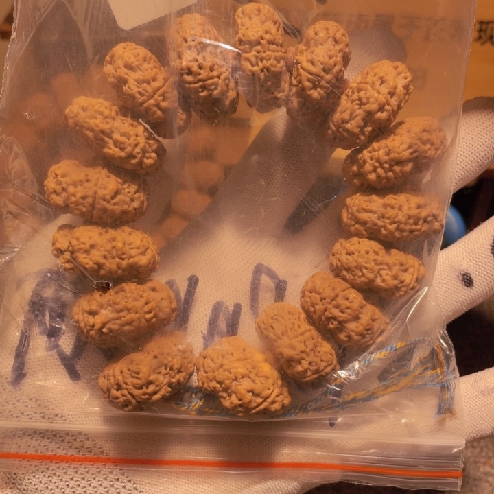 金刚菩提吊坠卿***图我不敢看