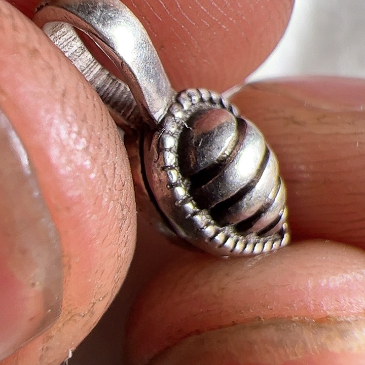 香榧木在家了一个