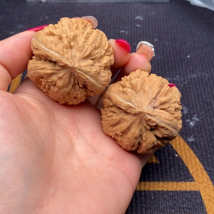 A***号文玩核桃把件霸王龙