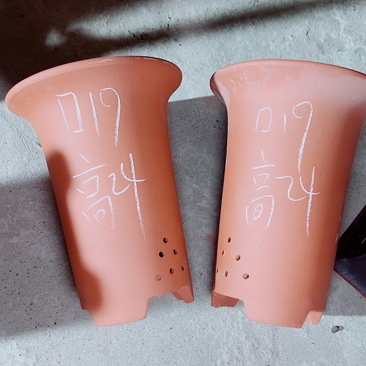 红陶紫砂紫砂这种