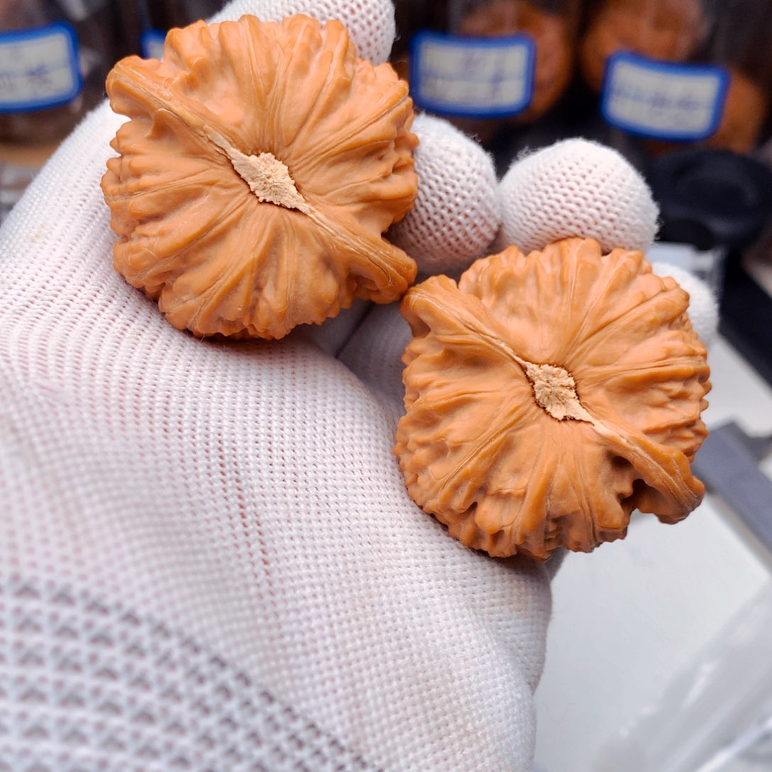 文玩核桃把件無*白狮子