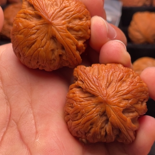 文玩核桃把件秦岭山脉核桃