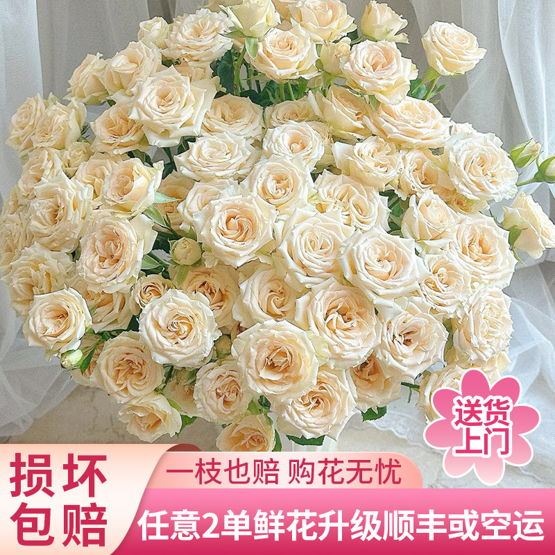 【源头优选老六】和风多头玫瑰 任意满两单及以上包邮送货上门