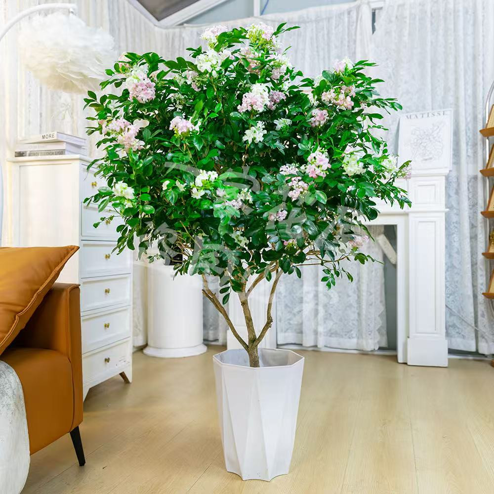 【顺丰送货上门】加大加高1.2-1.4九里香棒棒糖带花苞开花花卉绿植