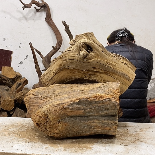 传***平柏木我们都是好孩子