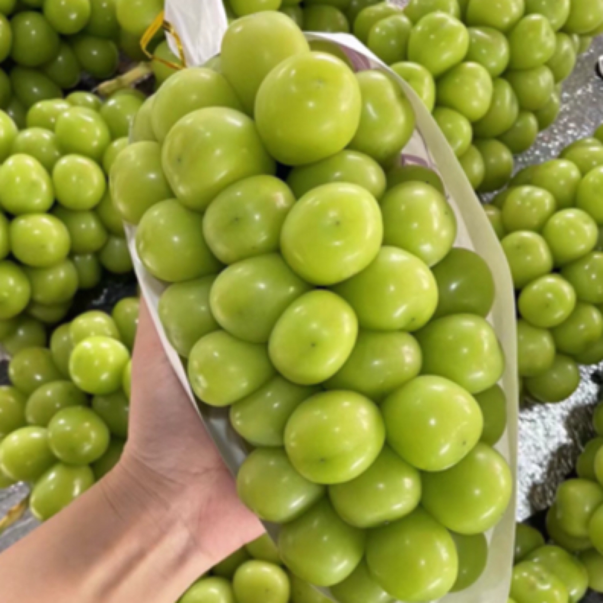 特级睛王(13-18克)香甜脆。净果4-4.4斤。有水果检测报告，放心购