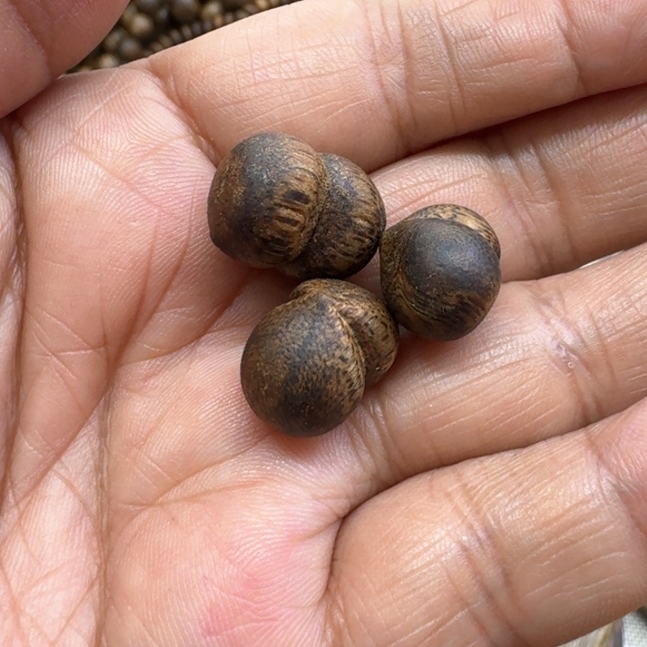 沉香沉香碎屑雕刻屁桃2.2克