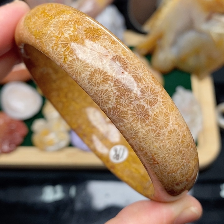 硅化珊瑚（珊瑚玉）手镯未镶嵌63,8