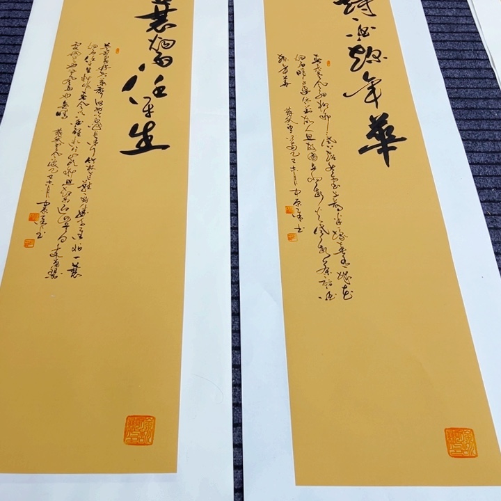 书法苏轼诗词双条屏