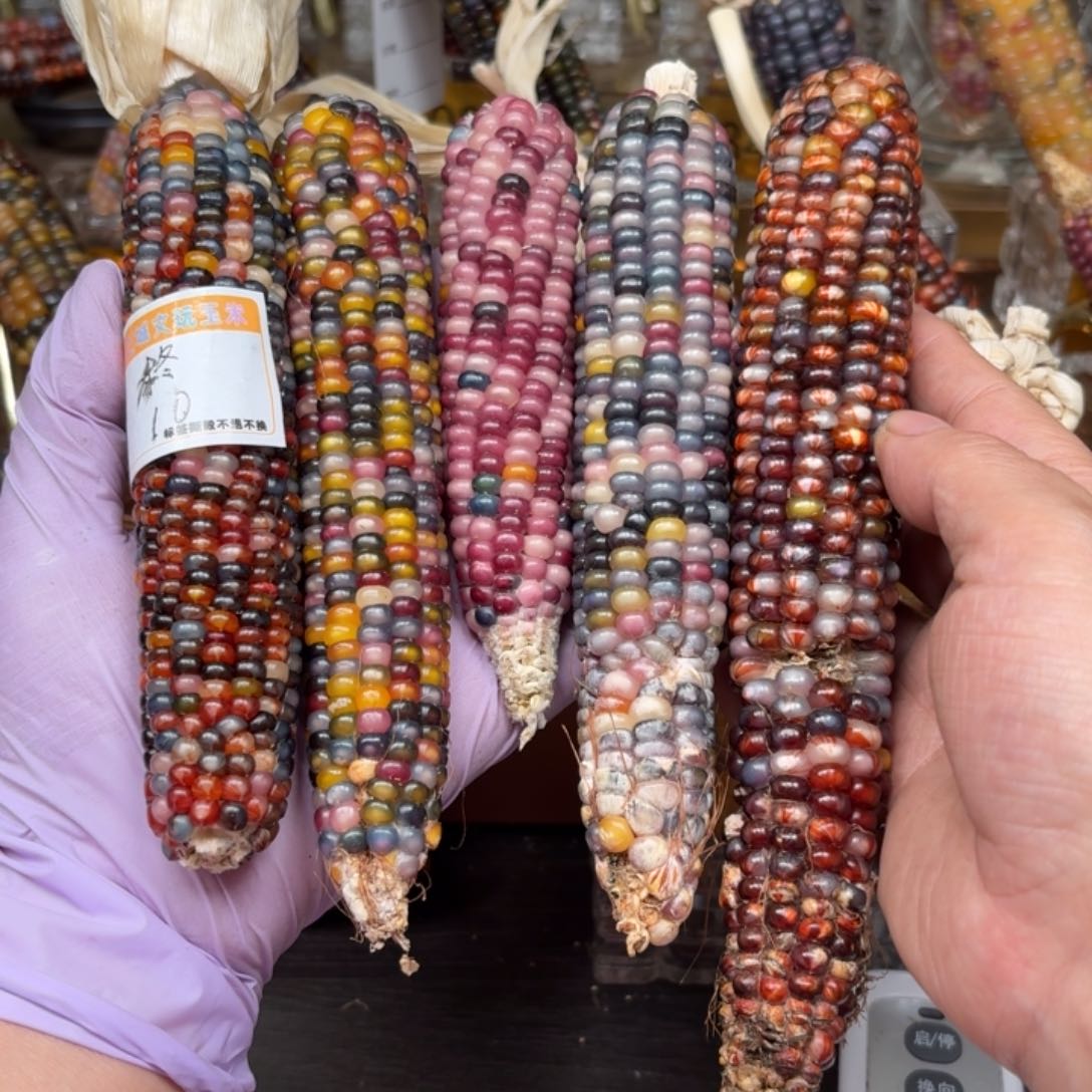 柏香籽/百香籽吊坠柊*