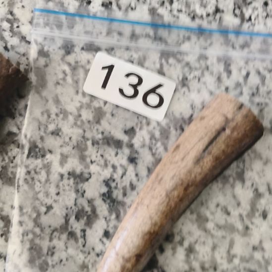 画***人鹿角鹿角鹿角鹿角鹿角鹿角