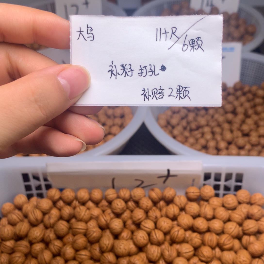 满天星11➕尺补籽6颗