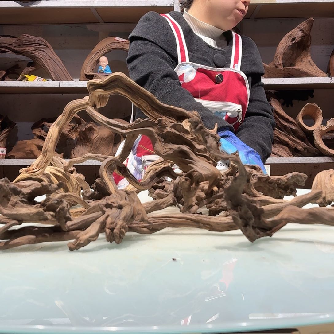 倍诸沉木,不包损必褪色汀*5525玲珑木枝条