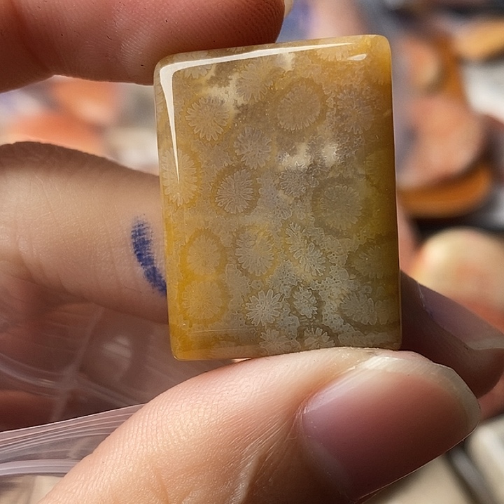N***m硅化玉未镶嵌颈饰
