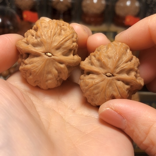 7***7野生小众：战斧手捻