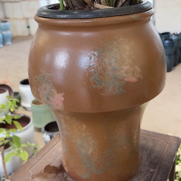 正品高33口20一个h