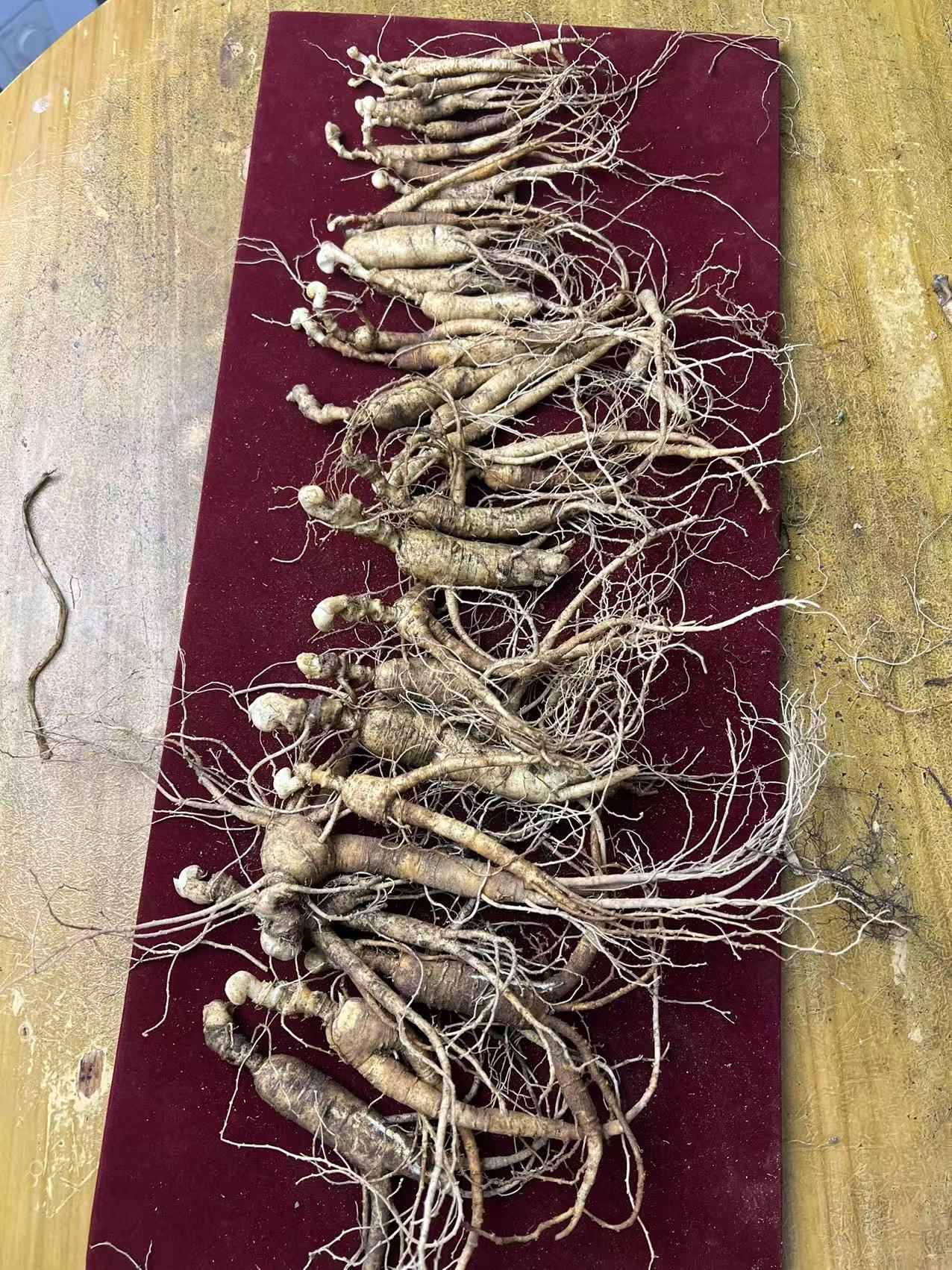 长白山10年林下参籽货（微残）泡水炖汤泡酒