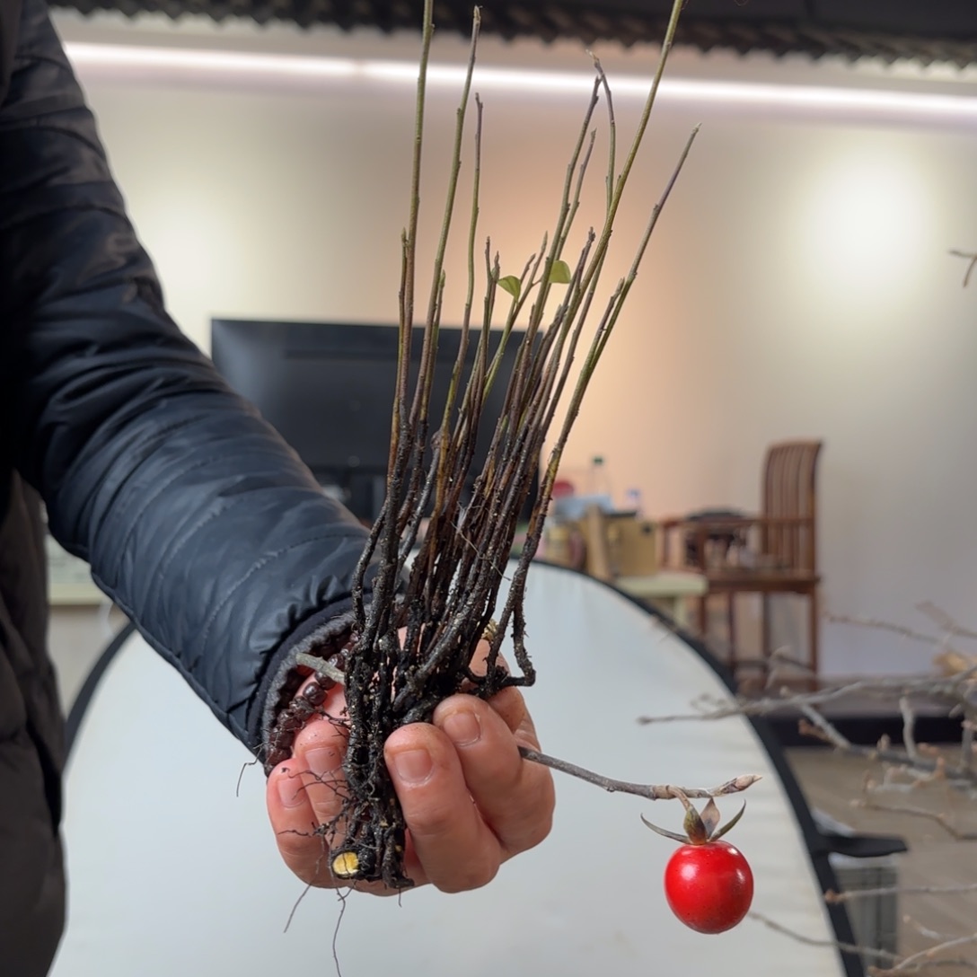 时***…哈哈哈哈哈哈0180