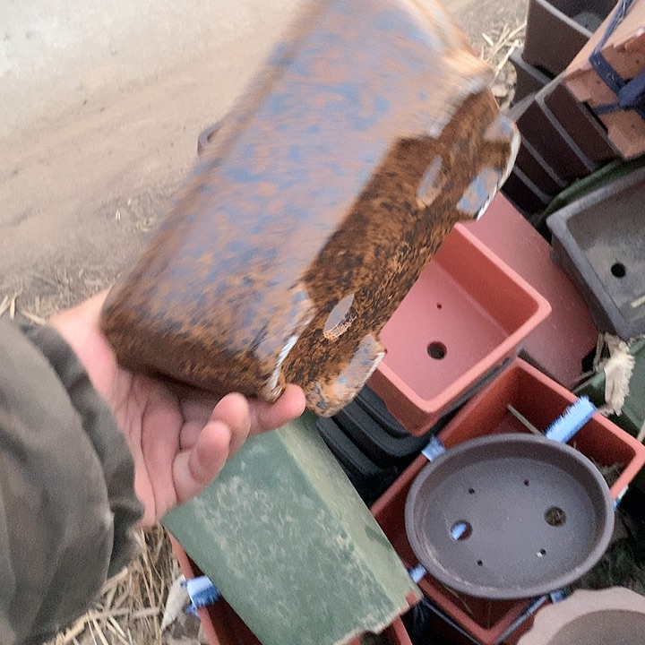 紫砂哈哈真的是太给力太火爆了