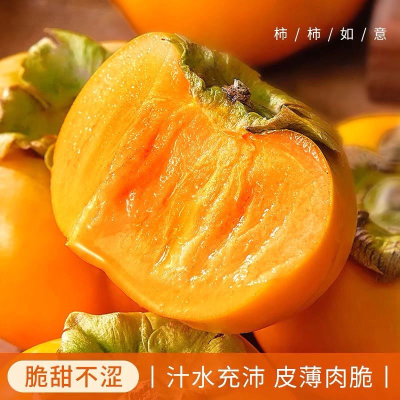 应季新鲜水果甜脆柿广西桂林特产糖心柿子网套独立包装