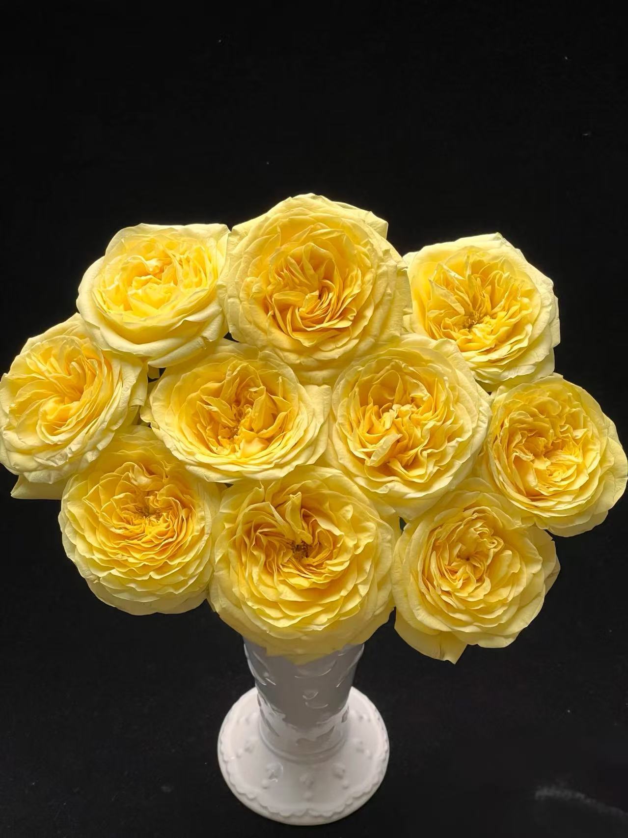 奇迹女神玫瑰（请及时醒花）