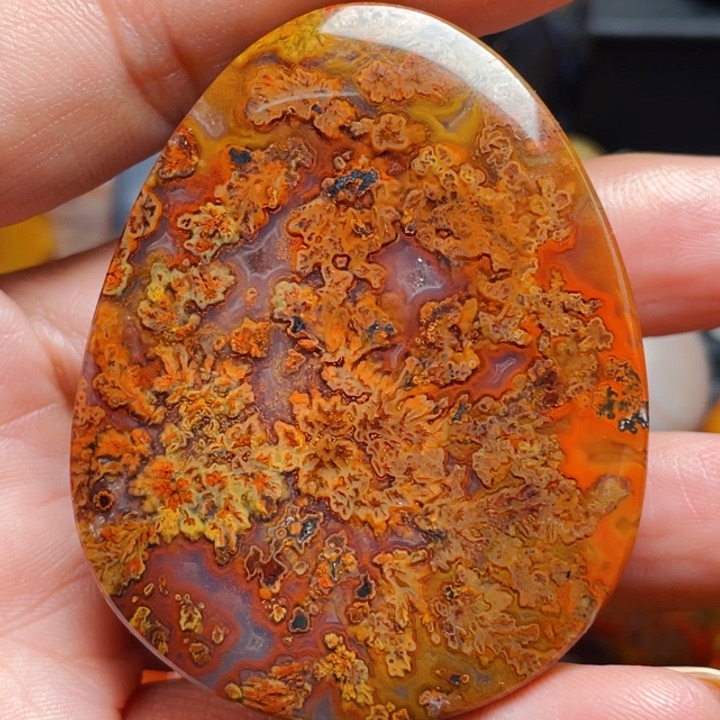 玛瑙/玉髓战国红玛瑙挂件未镶嵌