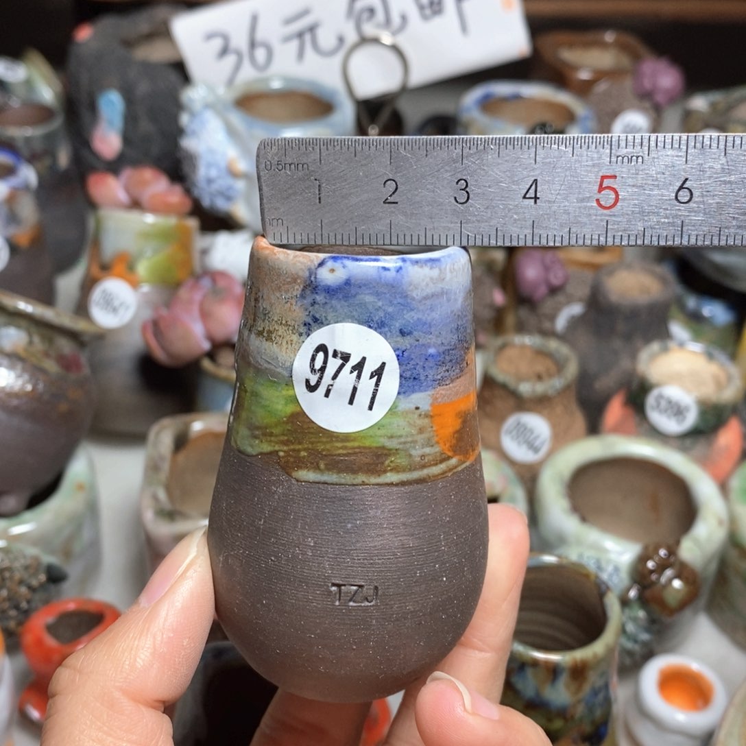 多肉花盆拍5送一个小礼物