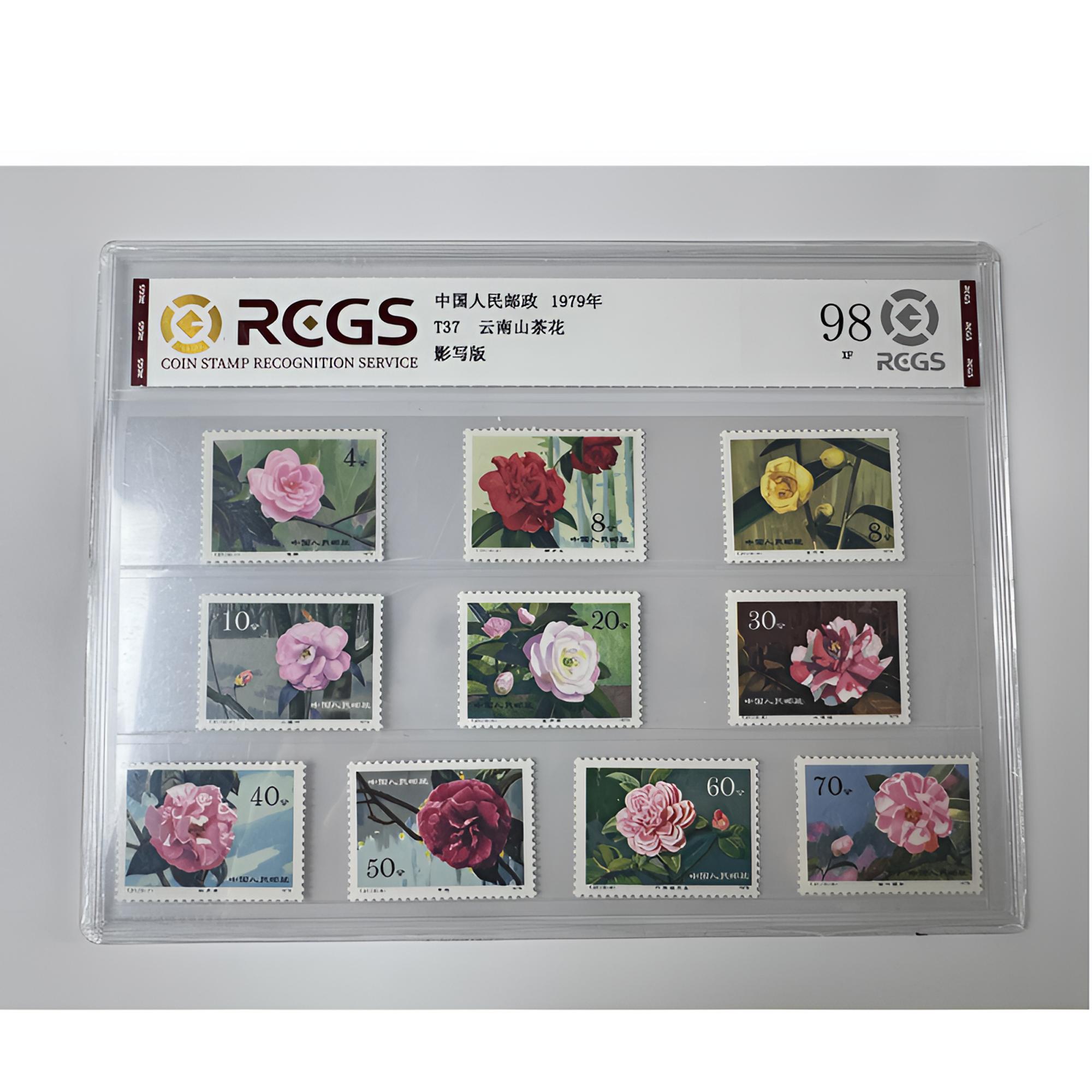 T37 云南山茶花邮票 套票十枚 中钱国信-98分XF