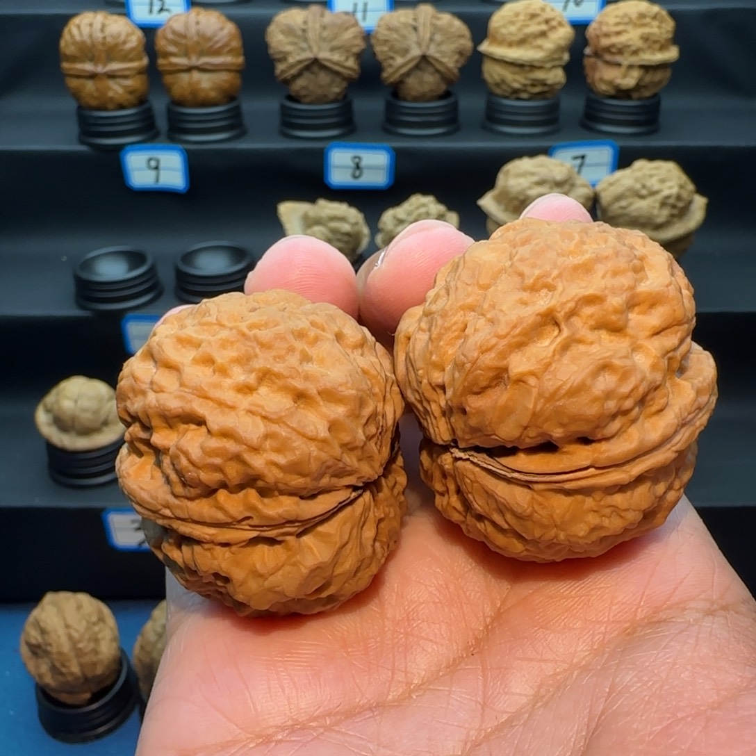 骑***翔把件桃核蟾王核桃