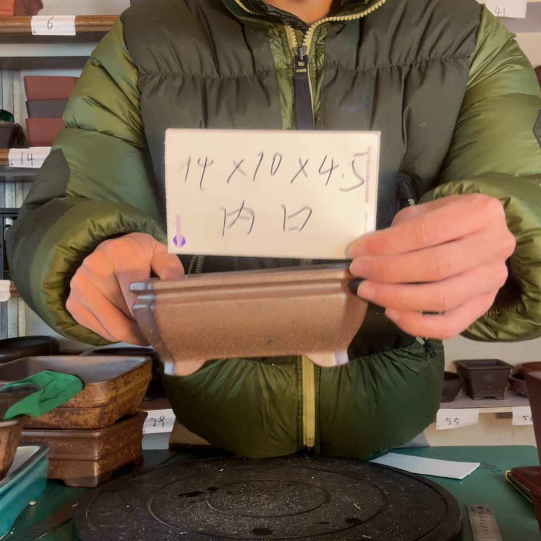 不个疯疯癫癫方法更优惠