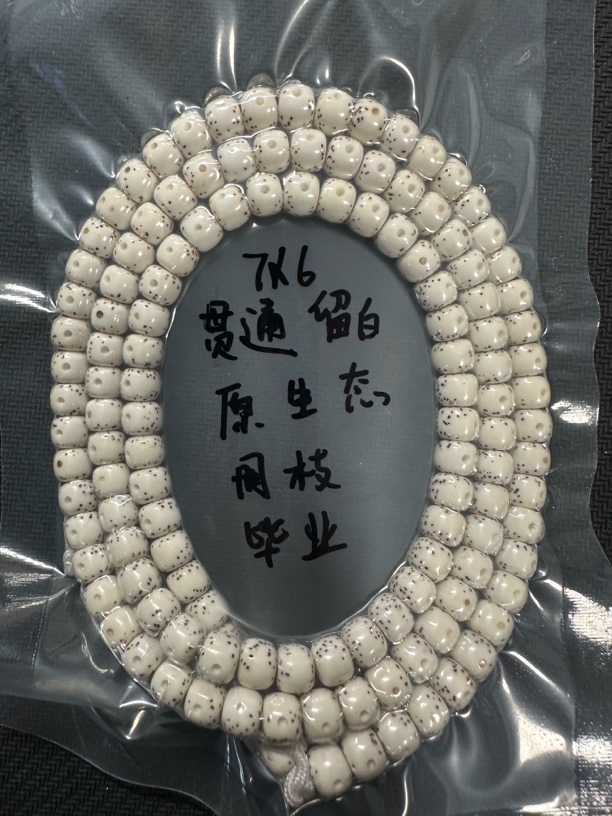 海南原生态星月菩提7*6月朗星稀贯通留白