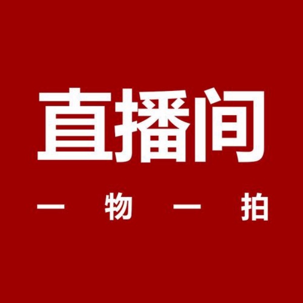 榆树盆景真柏小品盆景一物一拍