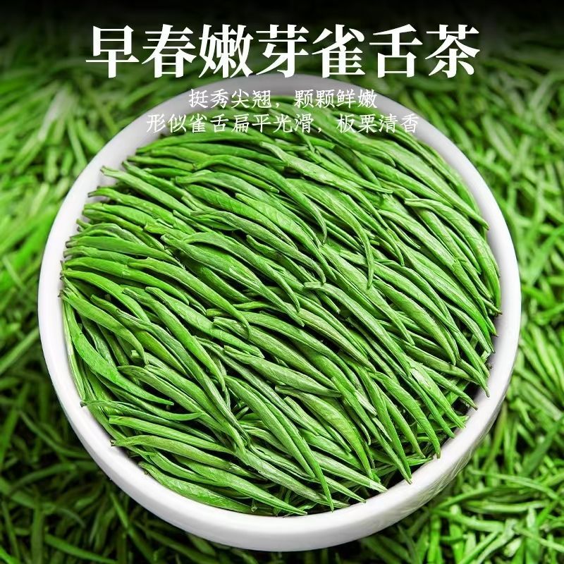 买半斤送半斤雀舌毛尖茶叶2025新茶明前绿茶嫩芽雀舌装