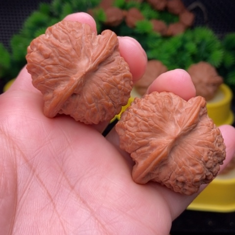 血麒麟39全品111111