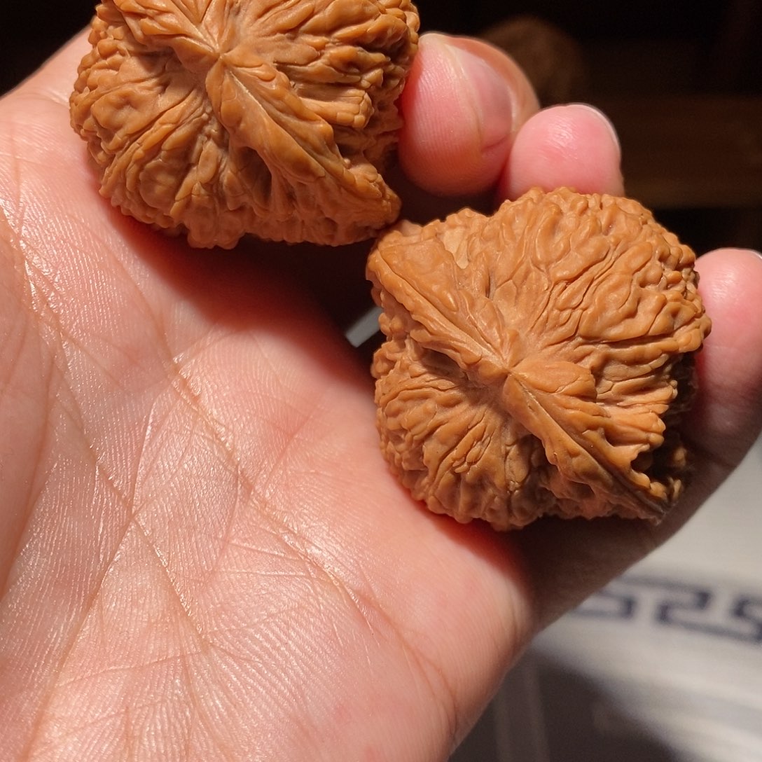 文玩核桃把件001全品头货对南将石收藏级