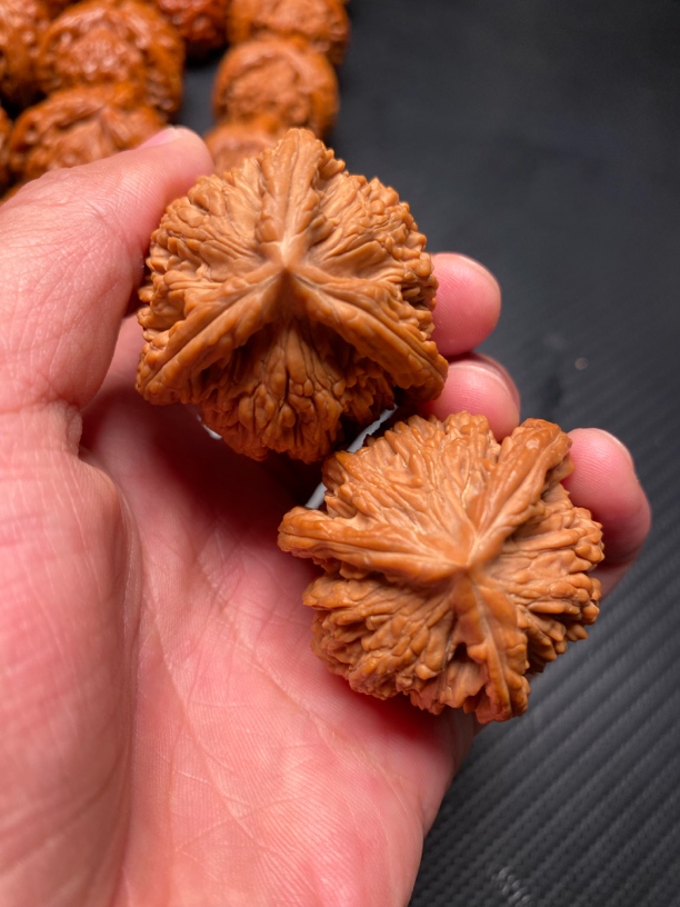 虎头三棱奔狮子头