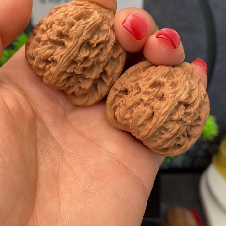 开**头特价白狮子不退换