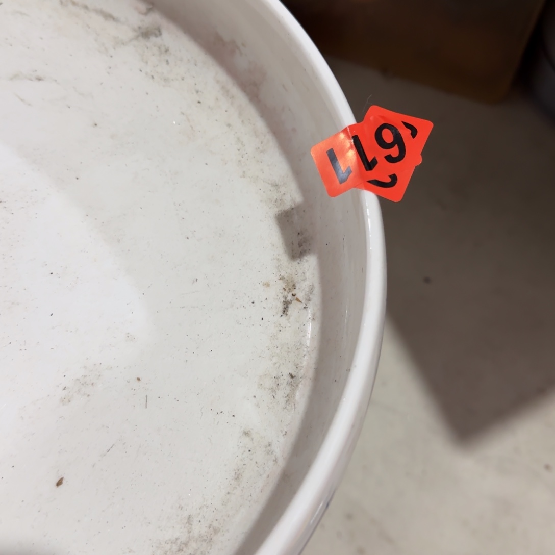 老***@杂色豆（科檀/科特迪瓦檀木）