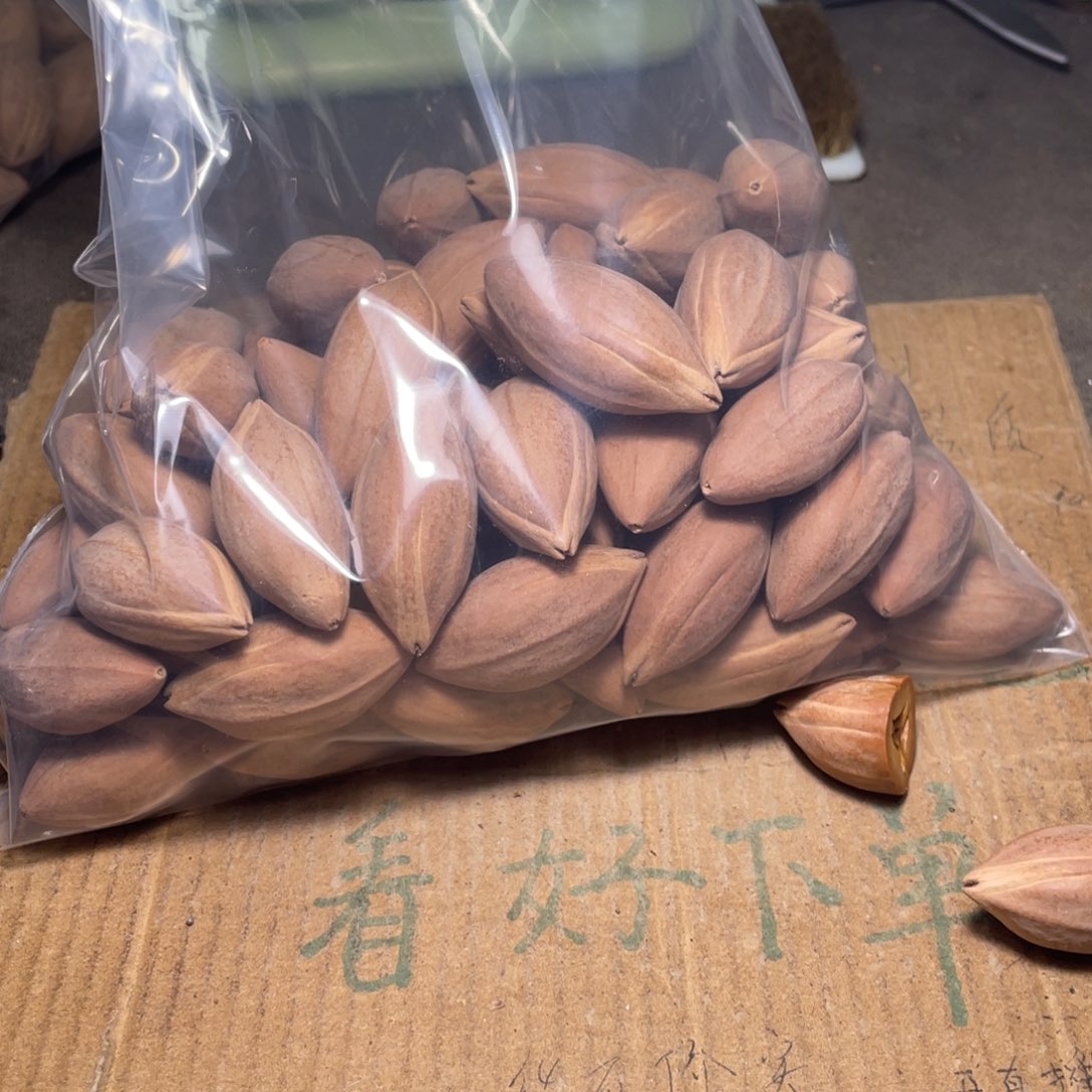 咕***嘟橄榄核手串/手链不退不换wry