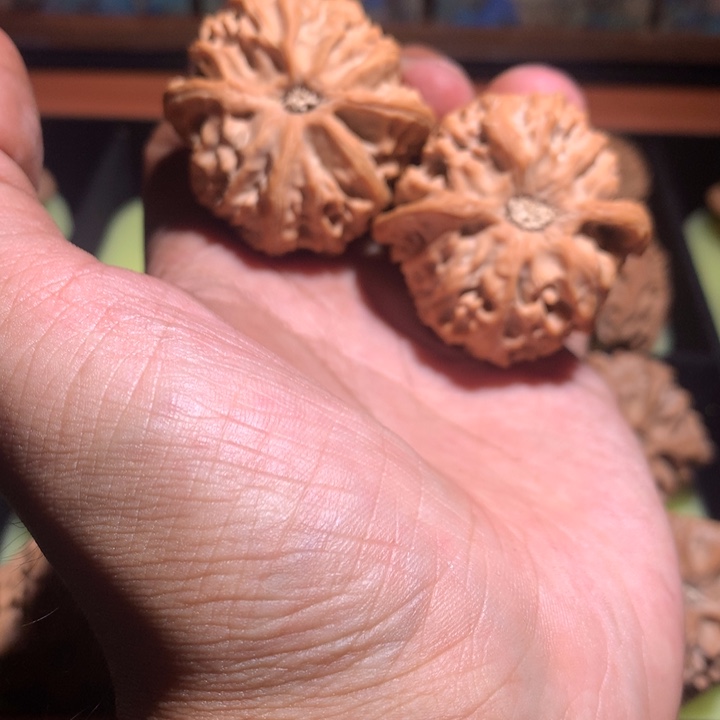 手串/手链核桃43毕业苹果